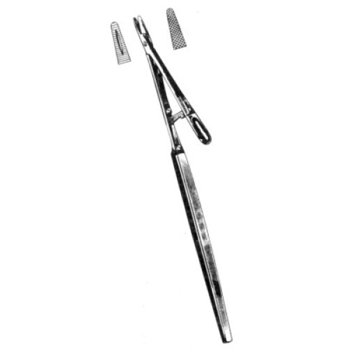 Stevens 6 1/2"