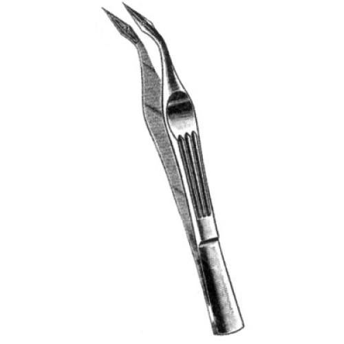 Carmalt Splinter Forcep 4 3/4" Cvd.