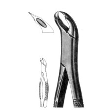 Extracting Forcep Lower Molars, Woodwards #3FS
