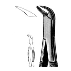 Extracting Forcep 1st & 2nd Lower Molars Universal