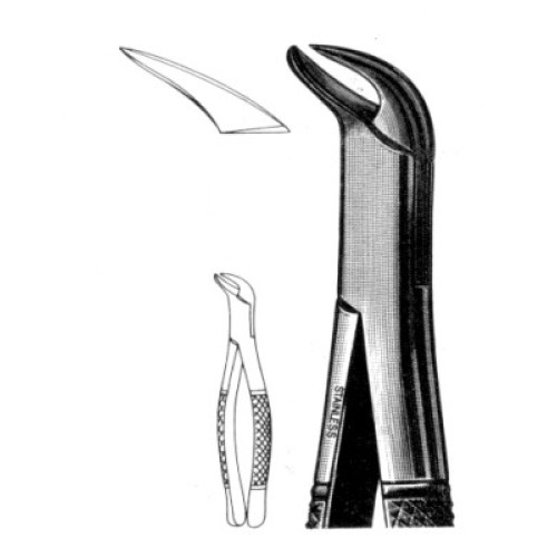 Extracting Forcep 1st & 2nd Lower Molars Universal