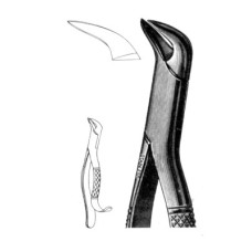 Extracting Forcep 1st & 2nd Lower Molars, Universa