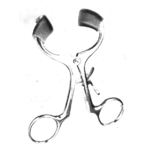 Molt Mouth Gag Adult