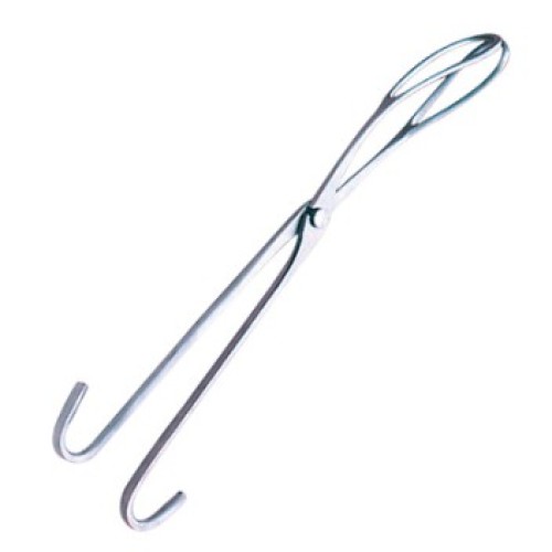 Witt 45cm, 17 1/2"