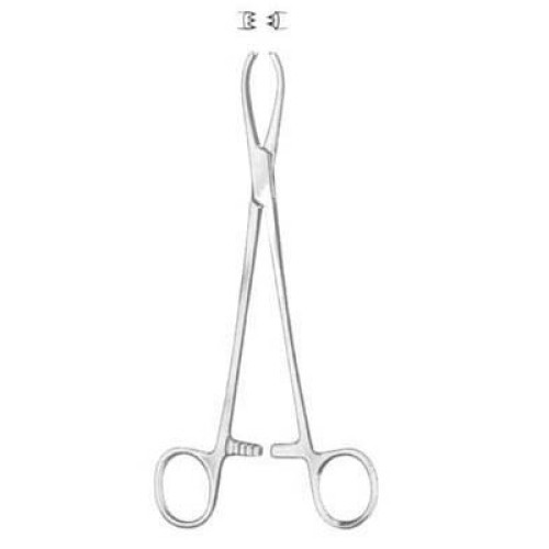 Littlewood Intestinal Tissue Forceps BJ 18.5cm/7 1