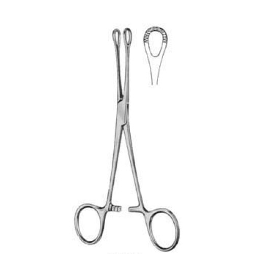 Williams Intestinal Tissue Forceps BJ 16cm/6 1/4"