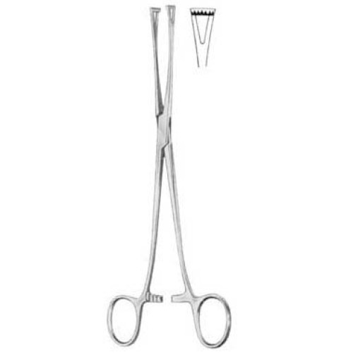 Lockwood Intestinal Tissue Forceps BJ 20cm/8"