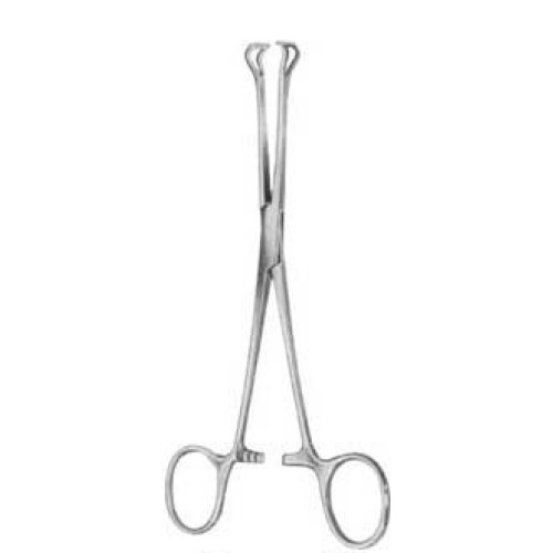 Babcock (Standard) Tissue Forceps BJ 16cm/6 1/4"