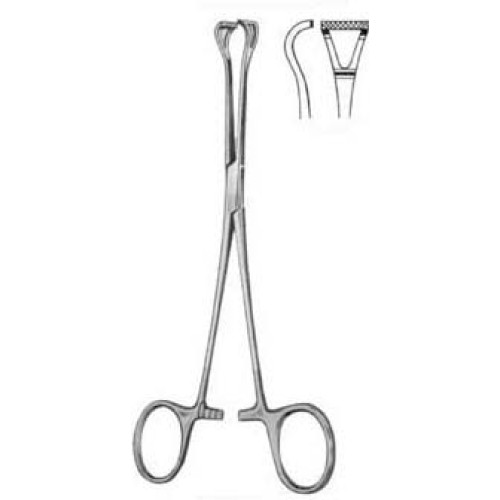 Babcock Tissue Forceps BJ 16cm/6 1/4"