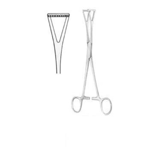 Duval Organ Grasing Forceps BJ 18cm/7"