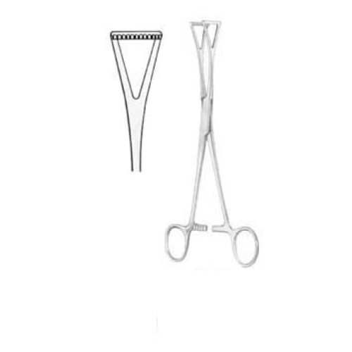 Duval Organ Grasing Forceps BJ 23cm/9"