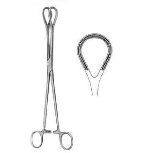 Organ Grasing Forceps BJ 25cm/10" Boyd Atrauma