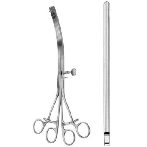 Lane Intestinal Stomach Clamps BJ Straight 30cm/12
