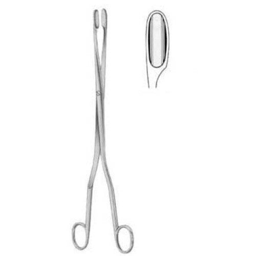 Winter Placenta Ovum Forceps SJ Straight 28cm/11"