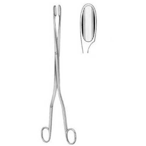 Winter Placenta Ovum Forceps SJ Straight 28cm/11"