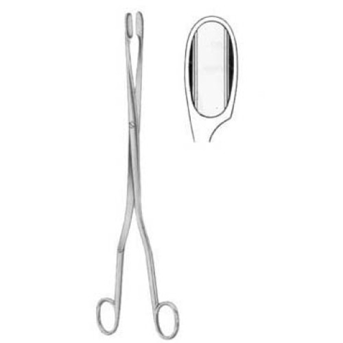 Winter Placenta Ovum Forceps SJ Curved 28cm/11"