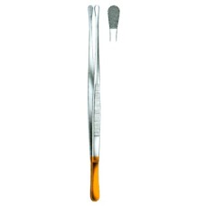 Dissecting Forceps Wangensteen 23cm/9"