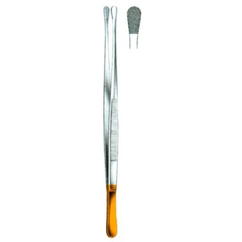 Dissecting Forceps Wangensteen 25cm/10"