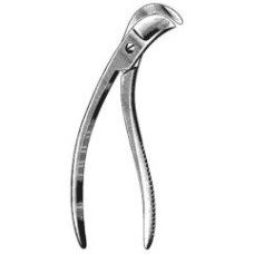Sauerbruch Rib Shear