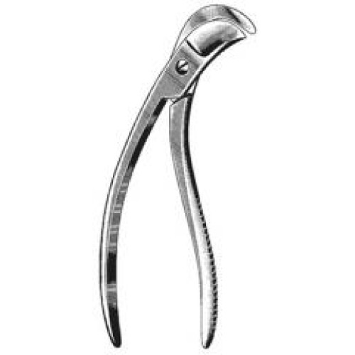 Sauerbruch Rib Shear