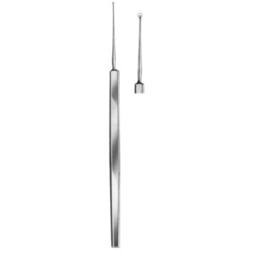 Bunge Exenteration Scoops